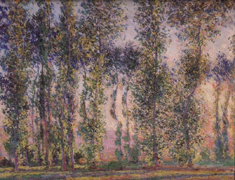 Claude Monet Poplars at Giverny France oil painting art